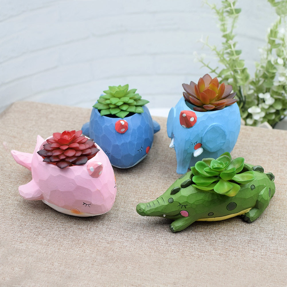 Succulent Planter for Home & Office Decor