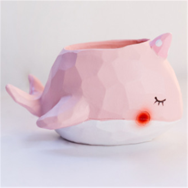Succulent Planter for Home & Office Decor