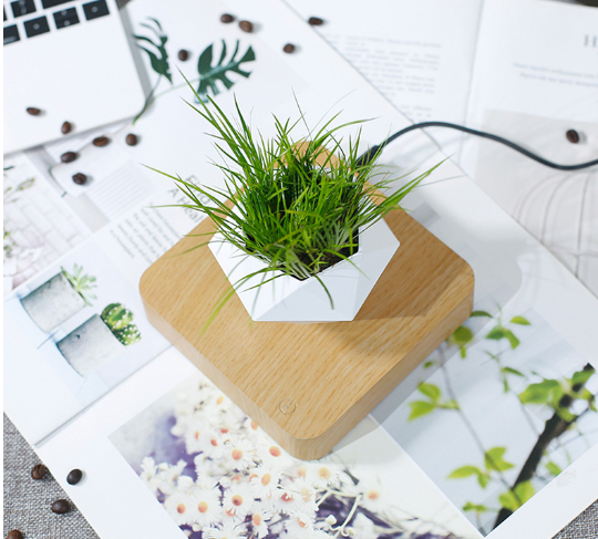 Floating Flower Pot Wall Planter