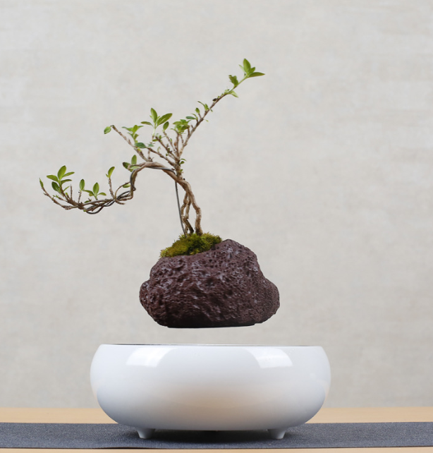 Floating Flower Pot Wall Planter