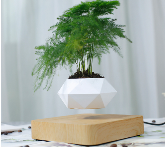 Floating Flower Pot Wall Planter