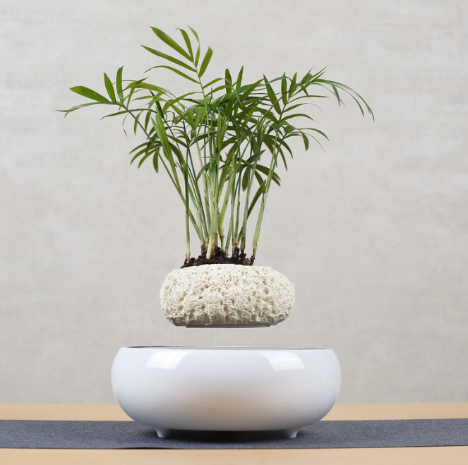 Floating Flower Pot Wall Planter