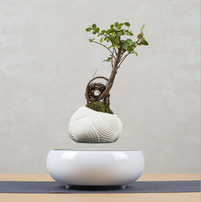 Floating Flower Pot Wall Planter